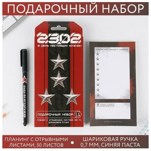 Подарочный набор «23.02 В день настоящих мужчин» планинг и ручка
